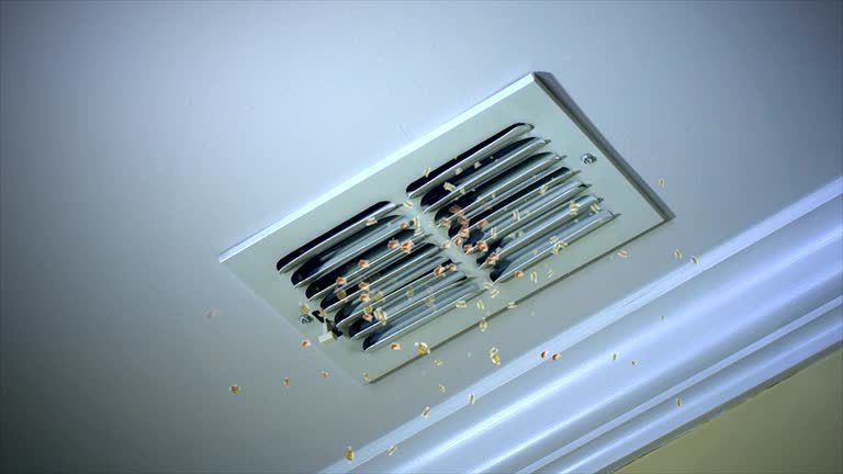 Best Air Duct Cleaning Near Me  in Palm Shores, FL