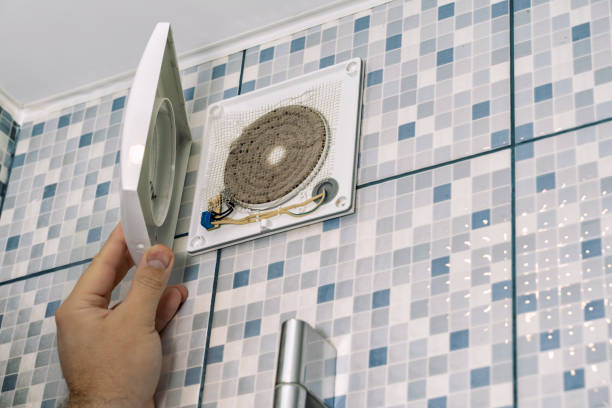 Best Affordable Duct Cleaning Services  in Palm Shores, FL