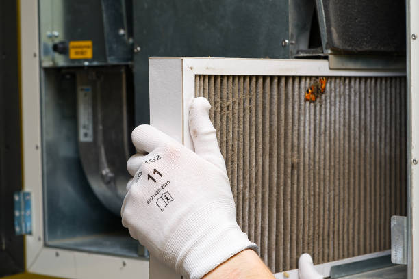 Best HVAC Air Duct Cleaning  in Palm Shores, FL