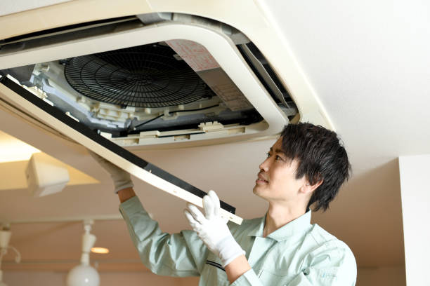 Best Professional Duct Cleaning Services  in Palm Shores, FL