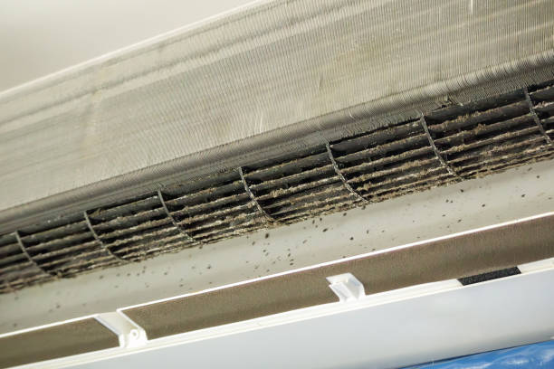Best Local Air Duct Cleaning Services  in Palm Shores, FL
