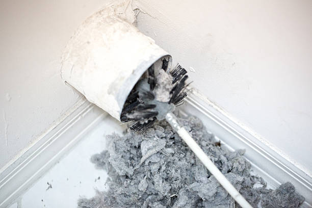 Best Ventilation Cleaning Services  in Palm Shores, FL