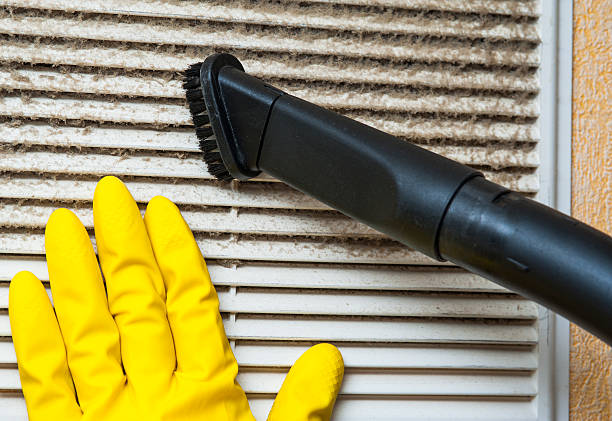 Best Commercial Air Duct Cleaning  in Palm Shores, FL